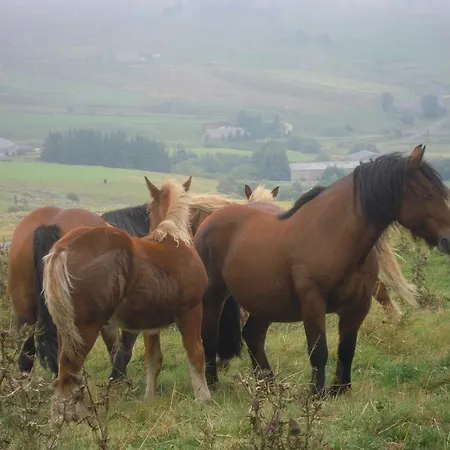 Le Francillon Les Estables
