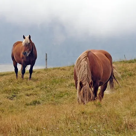 Nocleg ze śniadaniem Le Francillon 3*
